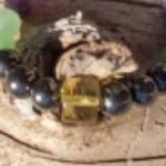 Illustration du profil de Sandrine Bien etre